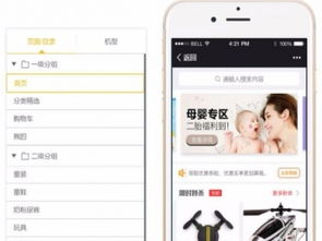 圖 深圳小程序開發制作,998元起 深圳網站建設推廣
